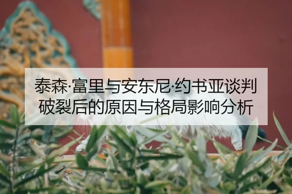 tai-sen-fu-li-yu-an-dong-ni-yue-shu-ya-tan-pan-po-lie-hou-de-yuan-yin-yu-ge-ju-ying-xiang-fen-xi-2-844.jpg