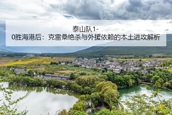 tai-shan-dui-sheng-hai-gang-hou-ke-lei-sang-jue-sha-yu-wai-yuan-yi-lai-de-ben-tu-jin-gong-jie-xi-2-354.jpg