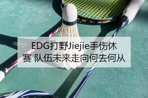 EDG打野Jiejie手伤休赛 队伍未来走向何去何从