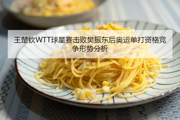 王楚钦WTT球星赛击败樊振东后奥运单打资格竞争形势分析